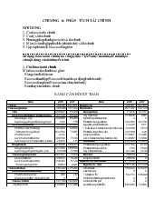 Báo cáo PTTC - Phân tích tài chính của công ty Sữa Việt Nam (Vinamilk)