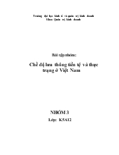 Tiểu luận Bài Chế độ lưu thông tiền tệ và thực trạng ở Việt Nam