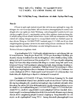 Thay đổi của thông tư 244-2009-tt-btc và ý nghĩa tài chính trong kế toán