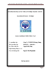 Đề tài Thực tập nhân thức kế toán tại công ty TNHH thương mại Hoang Chung