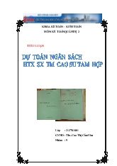 Tiểu luận Dự toán ngân sách HTX SX TM cao su Tam Hợp