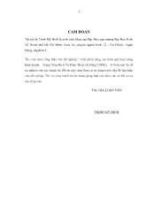 Giải pháp nâng cao hiệu quả hoạt động kinh doanh - Trung tâm dịch vụ điện thoại di động CDMA - S - Telecom