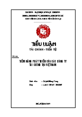 Tiềm năng phát triển của các công ty tài chính tại Việt Nam