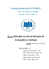 Đề tài Kiểm định sự tồn tại UIP giữa thị trường Mỹ và Việt Nam