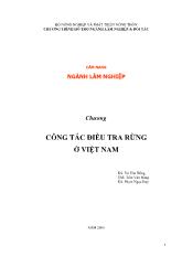 Công tác điều tra rừng ở Việt Nam