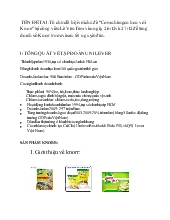 Đề tài Tổ chức lễ hội với chủ đề cơm nhà ngon hơn với Knorr tại công viên Lê Văn Tám vào ngày 26-12 và 27-12 để tăng doanh số Knorr trước và sau tết nguyên đán