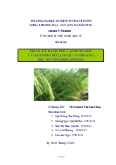 Tiểu luận Phân tích lợi thế cạnh tranh của sản phẩm gạo Việt Nam sang thị trường Philippines