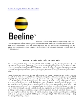 Phân tích thương hiệu Beeline theo mô hình 7P
