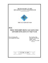 Tiểu luận Phân tích biến động giá xăng dầu lên đời sống dân cư Việt Nam
