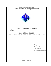 Tiểu luận Vấn đề độc quyền trong kinh doanh xăng dầu tại Việt Nam