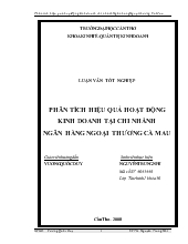 Luận văn Phân tích hiệu quả hoạt động kinh doanh tại chi nhánh ngân hàng ngoại thương Cà Mau