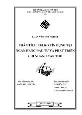 Luận văn Phân tích rủi ro tín dụng tại ngân hàng đầu tư và phát triển chi nhánh Cần Thơ