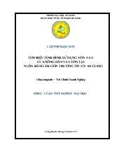 Khóa luận Tìm hiểu tình hình sử dụng vốn vay của nông dân vay vốn tại ngân hàng Sài Gòn Thương Tín chi nhánh An Giang