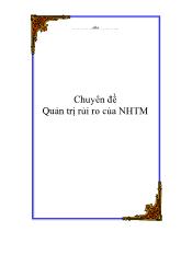 Chuyên đề Quản trị rủi ro của ngân hàng thương mại