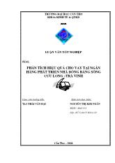 Luận văn Phân tích hiệu quả cho vay tại ngân hàng phát triển nhà đồng bằng sông Cửu Long chi nhánh tỉnh Trà Vinh