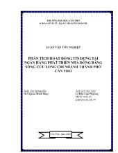 Luận văn Phân tích hoạt động tín dụng tại ngân hàng phát triển nhà đồng bằng sông Cửu Long chi nhánh thành phố Cần Thơ