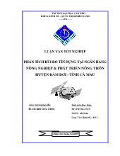 Luận văn Phân tích rủi ro tín dụng tại ngân hàng nông nghiệp và phát triển nông thôn huyện Đầm Dơi, tỉnh Cà Mau