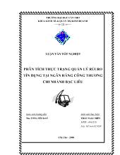 Luận văn Phân tích thực trạng quản lý rủi ro tín dụng tại ngân hàng công thương chi nhánh Bạc Liêu