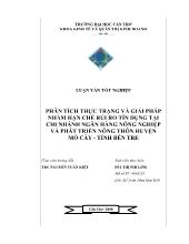 Luận văn Phân tích thực trạng và giải pháp nhằm hạn chế rủi ro tín dụng tại chi nhánh ngân hàng nông nghiệp và phát triển nông thôn huyện Mỏ Cày, tỉnh Bến Tre