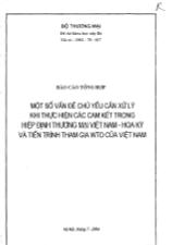 Đề tài Một số vấn đề chủ yếu cần xử lý khi thực hiện các cam kết trong hiệp định thương mại Việt Nam – Hoa Kỳ và tiến trình tham gia WTO của Việt Nam
