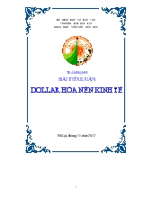 Tiểu luận Dollar hóa nền kinh tế