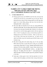 Chuyên đề Nghiên cứu và phát triển hệ thống nhượng quyền thương mại của Cartridge World tại Việt Nam