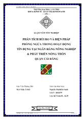 Luận văn Phân tích rủi ro và biện pháp phòng ngừa trong hoạt động tín dụng tại ngân hàng nông nghiệp và phát triển nông thôn quận Cái Răng