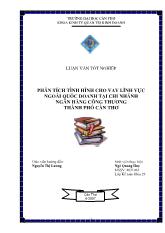 Luận văn Phân tích tình hình cho vay lĩnh vực ngoài quốc doanh tại chi nhánh ngân hàng công thương Thành phố Cần Thơ