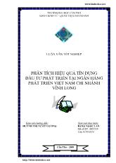 Luận văn Phân tích hiệu quả tín dụng đầu tư phát triển tại ngân hàng phát triển Việt Nam chi nhánh Vĩnh Long