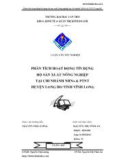 Luận văn Phân tích hoạt động tín dụng hộ sản xuất nông nghiệp tại chi nhánh ngân hàng nông nghiệp và phát triển nông thôn huyện Long Hồ, tỉnh Vĩnh Long