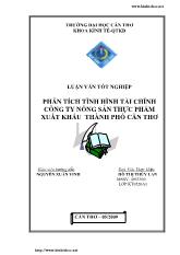 Luận văn Phân tích tình hình tài chính công ty nông sản thực phẩm xuất khẩu Thành phố Cần Thơ