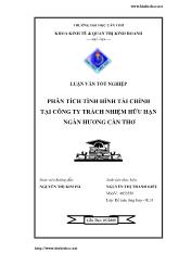 Luận văn Phân tích tình hình tài chính tại công ty TNHH Ngàn Hương - Cần Thơ
