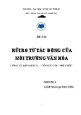 Đề tài Rủi ro từ tác động của môi trường văn hóa