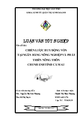 Luận văn Chiến lược huy động vốn tại ngân hàng nông nghiệp và phát triển nông thôn chi nhánh tỉnh Cà Mau