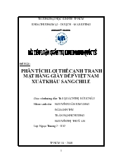 Tiểu luận Phân tích lợi thế cạnh tranh mặt hàng giày dép Việt Nam xuất khẩu sang Chile
