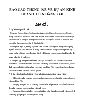 Báo cáo Thống kê về dự án kinh doanh cửa hàng 24h