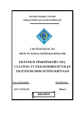 Chuyên đề Phân tích tình hình tiêu thụ của công ty TNHH thực phẩm dinh dưỡng miền Nam