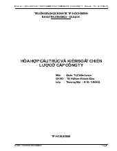Đề tài Hòa hợp cấu trúc và kiểm soát chiến lược ở cấp công ty cổ phần đầu tư Nam Long