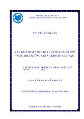 Luận văn Các giải pháp thúc đẩy sự phát triển bền vững thị trường chứng khoán Việt Nam
