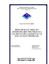 Luận văn Phân tích các nhân tố ảnh hưởng đến thu nhập của các hộ xã viên tại hợp tác xã rau an toàn Thành Lợi