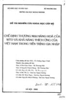 Đề tài Chế định thương mại hàng hóa của WTO và khả năng thích ứng của Việt Nam trong tiến trình gia nhập