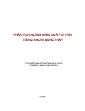 Phân tích ngành hàng xoài tại tỉnh Tiền Giang và Đồng Tháp
