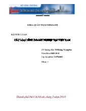 Tiểu luận Các loại hình doanh nghiệp tại Việt Nam