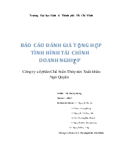 Báo cáo Đánh giá tổng hợp tình hình tài chính doanh nghiệp công ty cổ phần chế biến thủy sản xuất khẩu Ngô Quyền