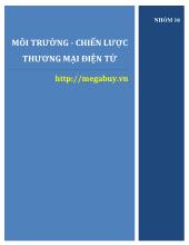 Đề tài Môi trường và chiến lược thương mại điện tử của megabuy.vn