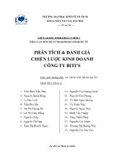 Tiểu luận Phân tích và đánh giá chiến lược kinh doanh công ty Biti's