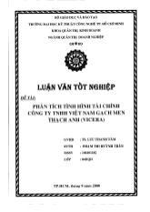 Luận văn Phân tích tình hình tài chính công ty TNHH Việt Nam gạch men Thạch Anh VICERA