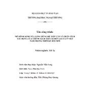 Đề tài Mô hình kinh tế lượng dùng để tiếp cận và phân tích tác động của chính sách tiền tệ đến giá cả ở Việt Nam trong thời kỳ đổi mới