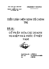 Tiểu luận Cổ phần hóa các doanh nghiệp nhà nước ở Việt Nam
