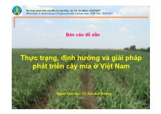 Đề tài Thực trạng, định hướng và giải pháp phát triển cây mía ở Việt Nam